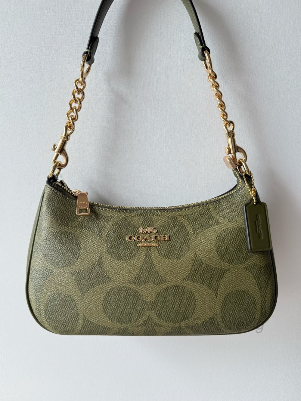 NWT Coach Teri Shoulder/Crossbody Bag In Olive Green Signature Canvas